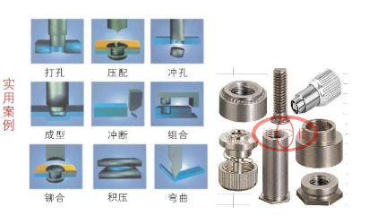 ���T�C 2.jpg